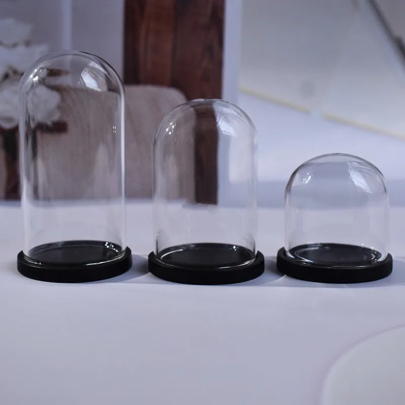 1X Clear Glass Display Dome With Black Wooden Base Dollhouse Decoration Bell Jar Display Case Pedestals Micro Landscape Holder