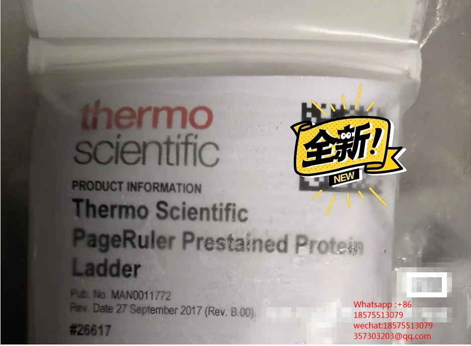 THETMO Scientific 26617 Predyed Rainbow Marker PageRuler Prestained Protein Ladder MAN0011772