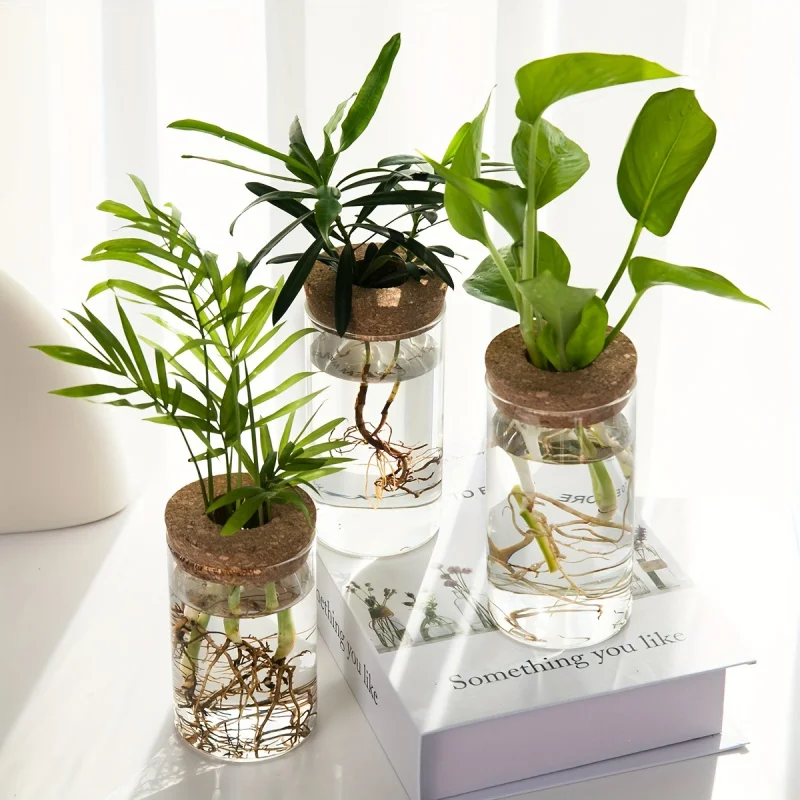 Glass Hydroponic Vase 1pc Transparent Desktop Propagation Station Rooting Container Home Office Plant Decor Ornament