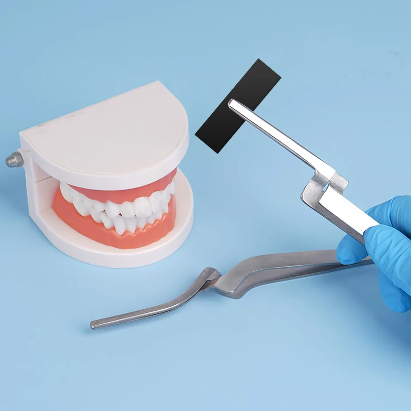 

Stainless Steel Dental Articulating Paper Holder Tweezers Straight Curved Reverse Action Serrated Pliers Dentist Tool