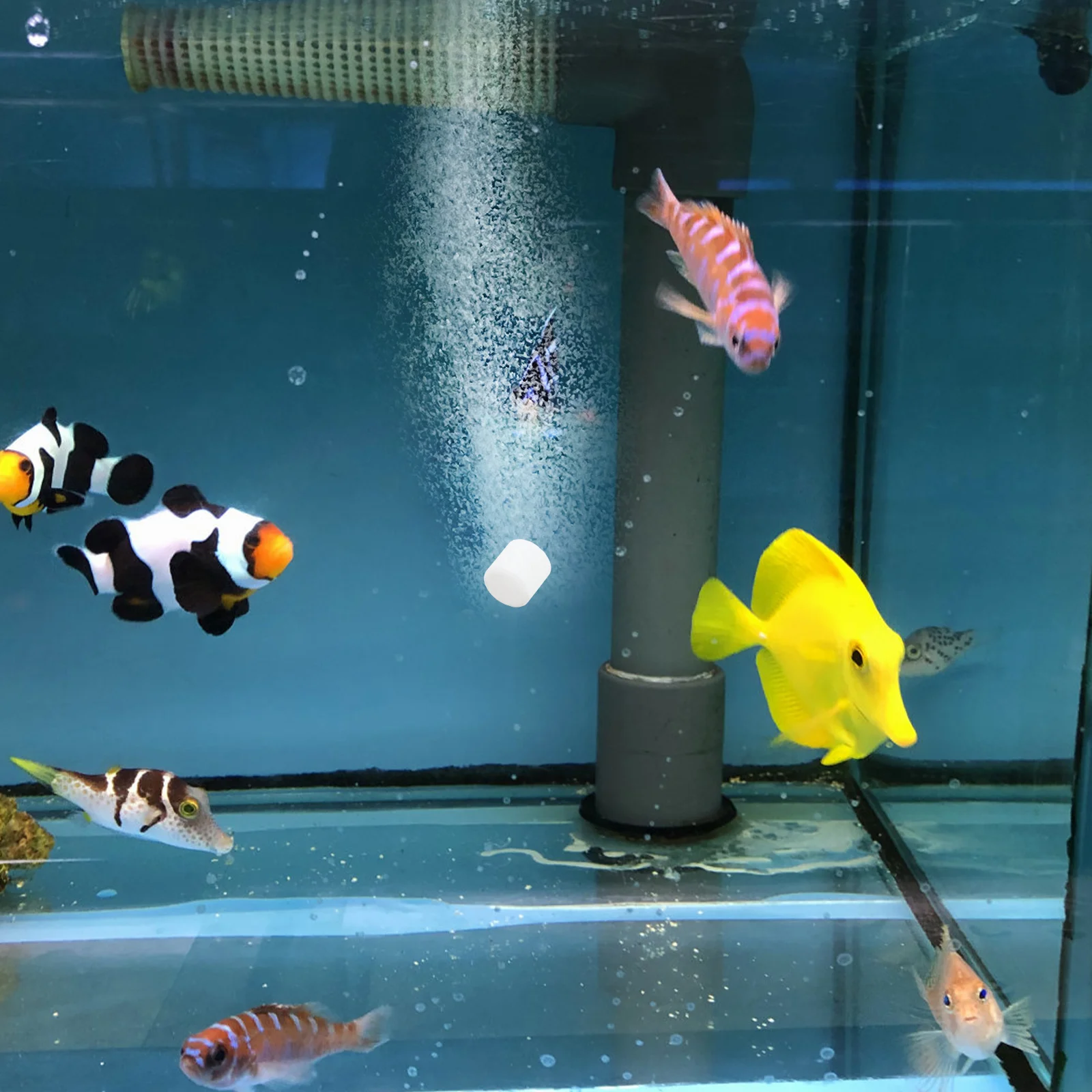 Enhanced Oxygenation Fish Tank Oxygen Tablets Lasting Aquatic Pets Health Clear Water Easy Use Safe All Types Fish Plants