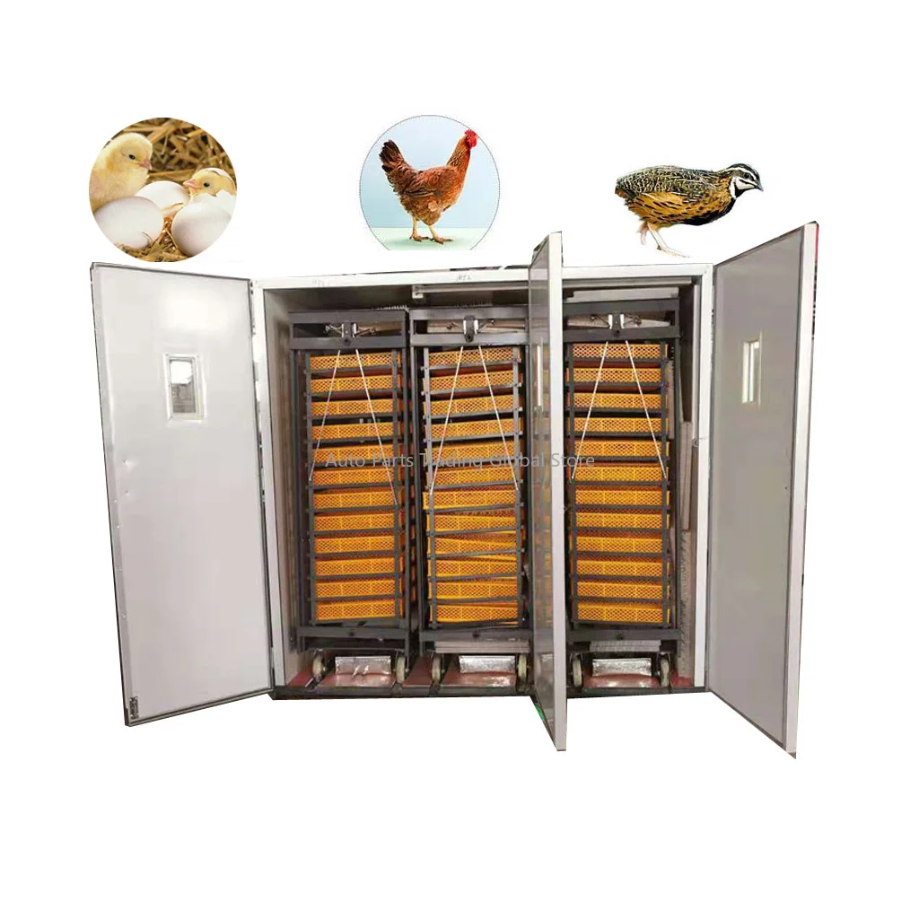 Fully Automatic Electric, Coal And Gas Incubator HJ-IH16896