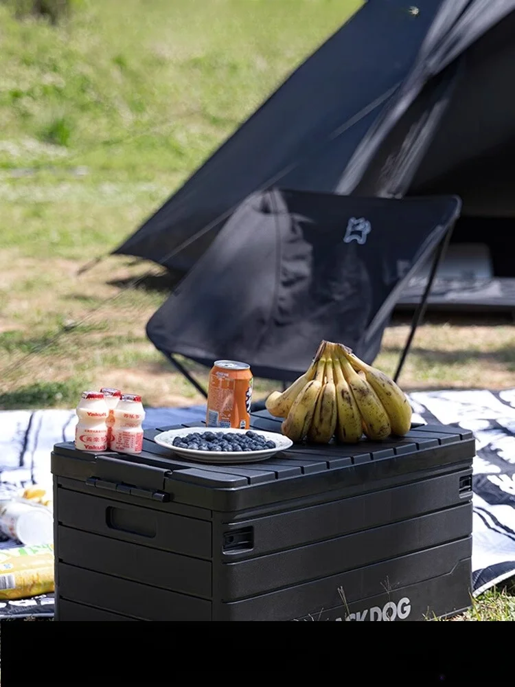 Blackdog-Boîte de Rangement Pliante pour Camping en Plein Air, Voiture, Maison