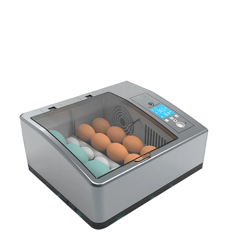 

Home Mini Poultry Egg Incubator for Hatching Eggs