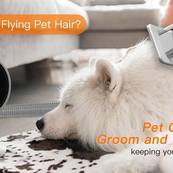 STLF5 in 1 Dry Room Hair Machine Grooming Automatic Pet Dryer Set Professional Vacuum Trimmer Pet Grooming Vacuum view 2