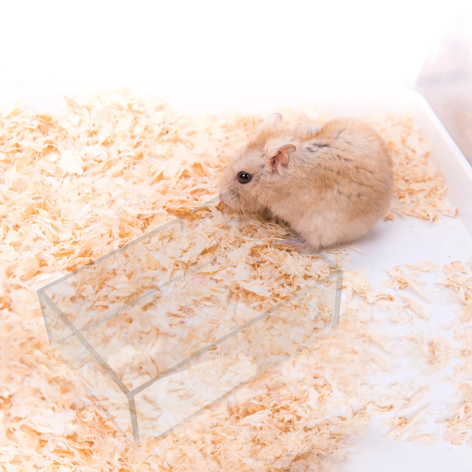 

Sand Bath Pot Small Pet Bathtub Hamster Sandbox Guinea Pig Toilet Container Basin Case Acrylic Wooden MultiUse SandBox Durable