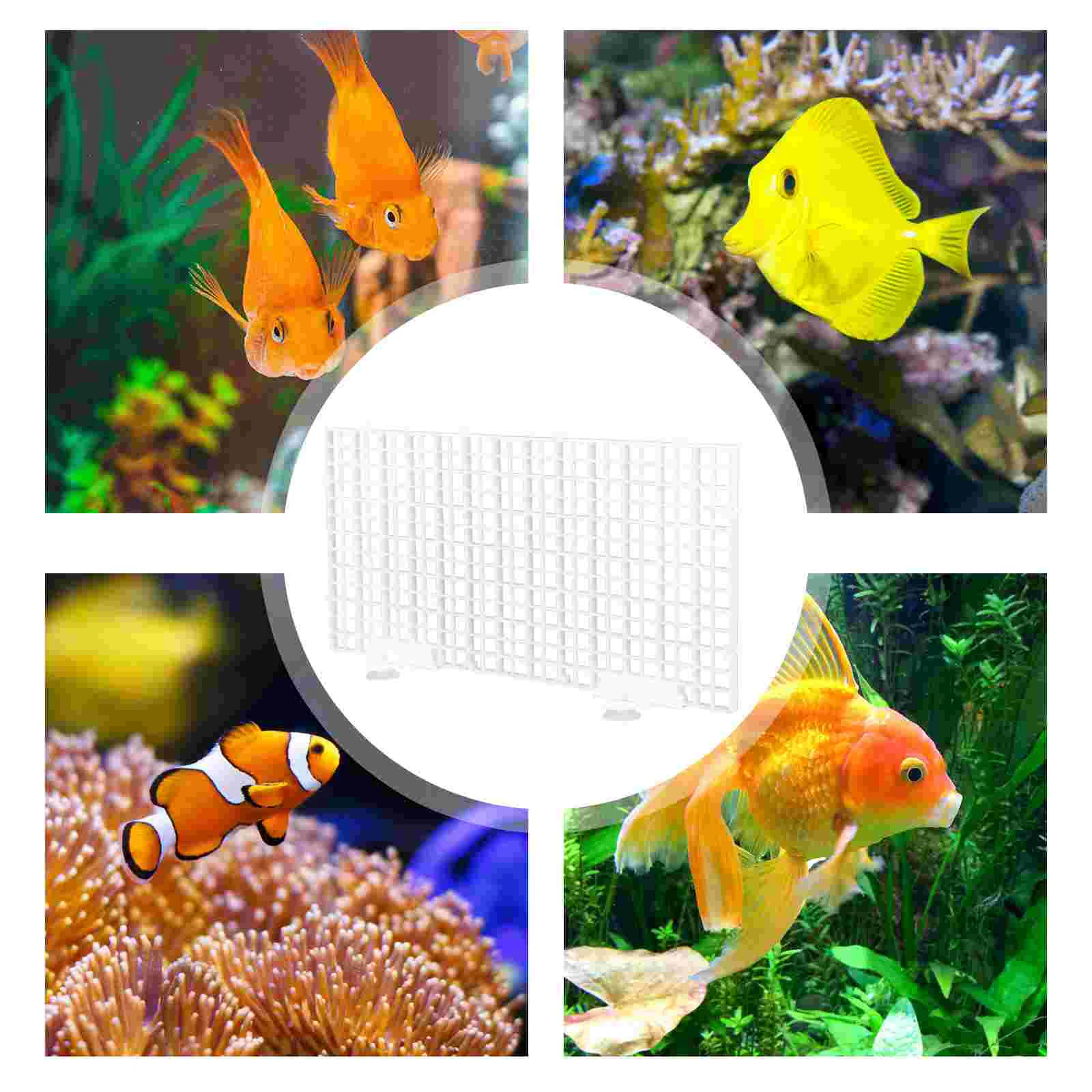 Isolation Board Fish Tank Divider Pp Bottom Filter Grid Aquarium Filtering Plate