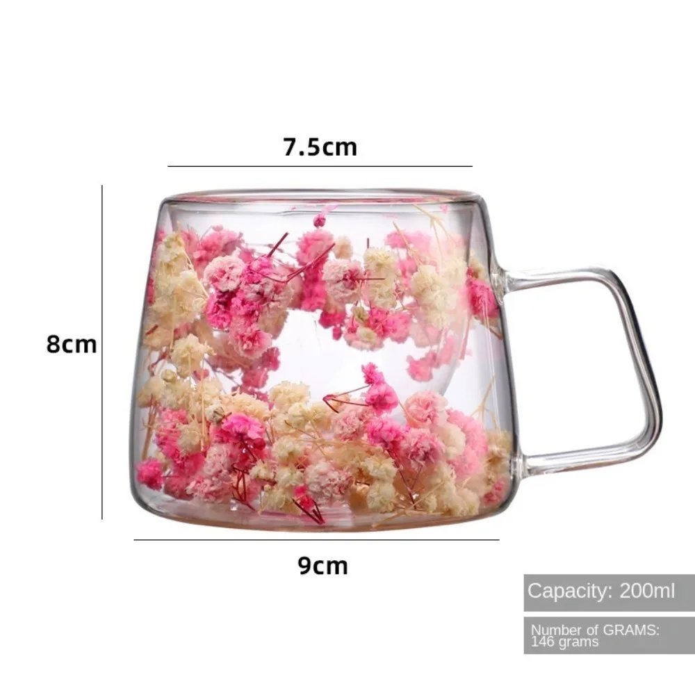 Clear Glass Double-layer Glass Cups New Double-layer with Handle Beverages Storage Simulation Flower Hot Coffee Mugs Home