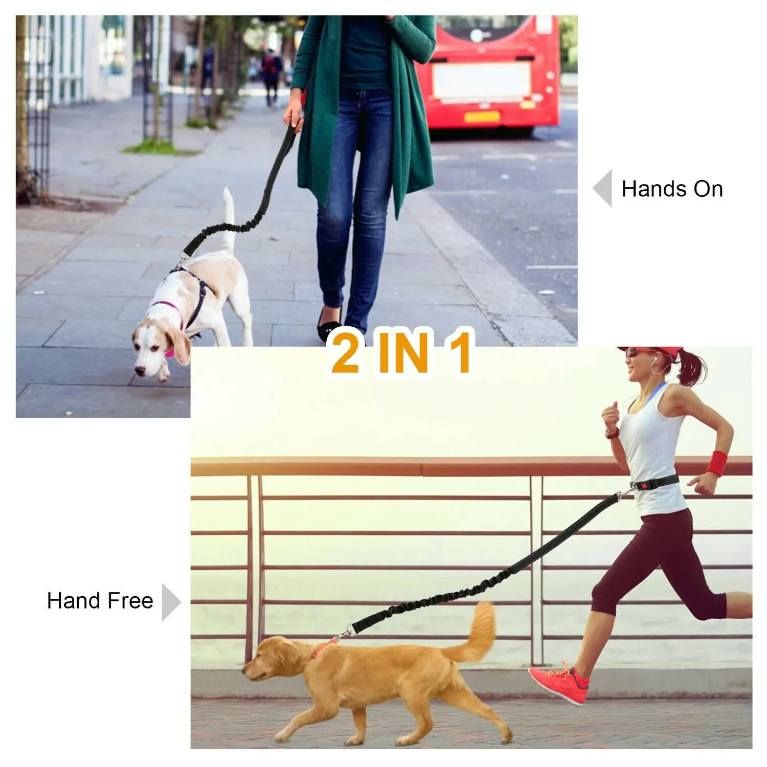 

Hands Dog Leash Adjustable Waist Belt Bungee Harness for Jogging Hiking Walking Perfect Outdoor Activity Gear