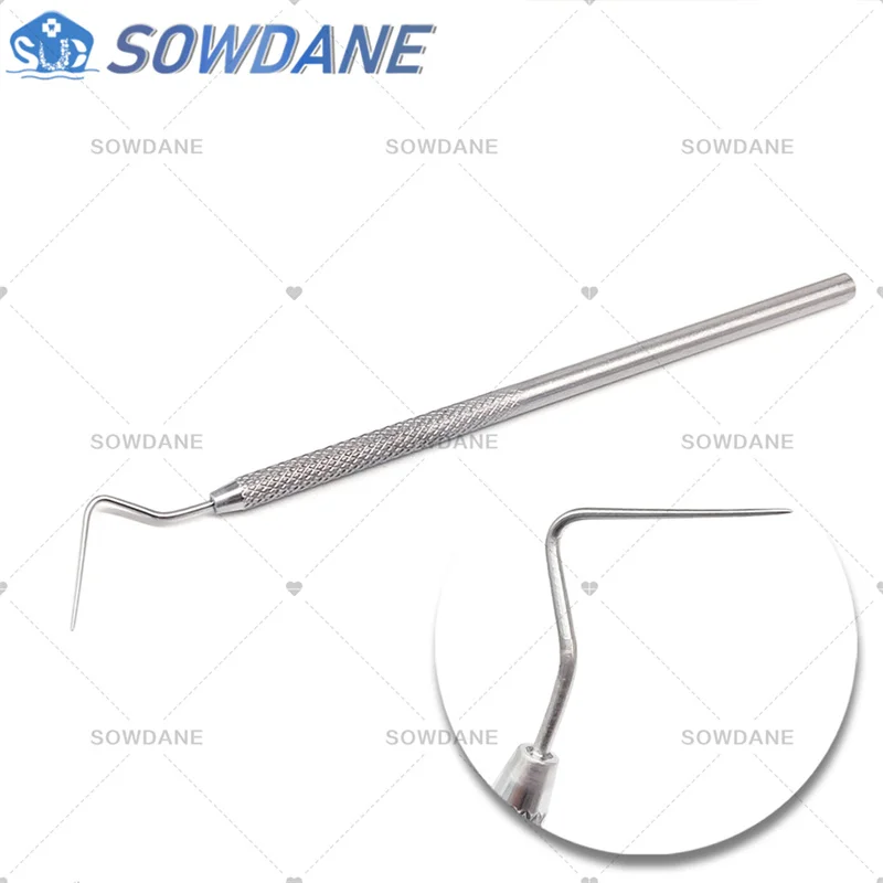 Dental Stainless Steel Endodontic Probe Explorer Flat/Tapered Instrument Tool Oral Care Teeth Whitening