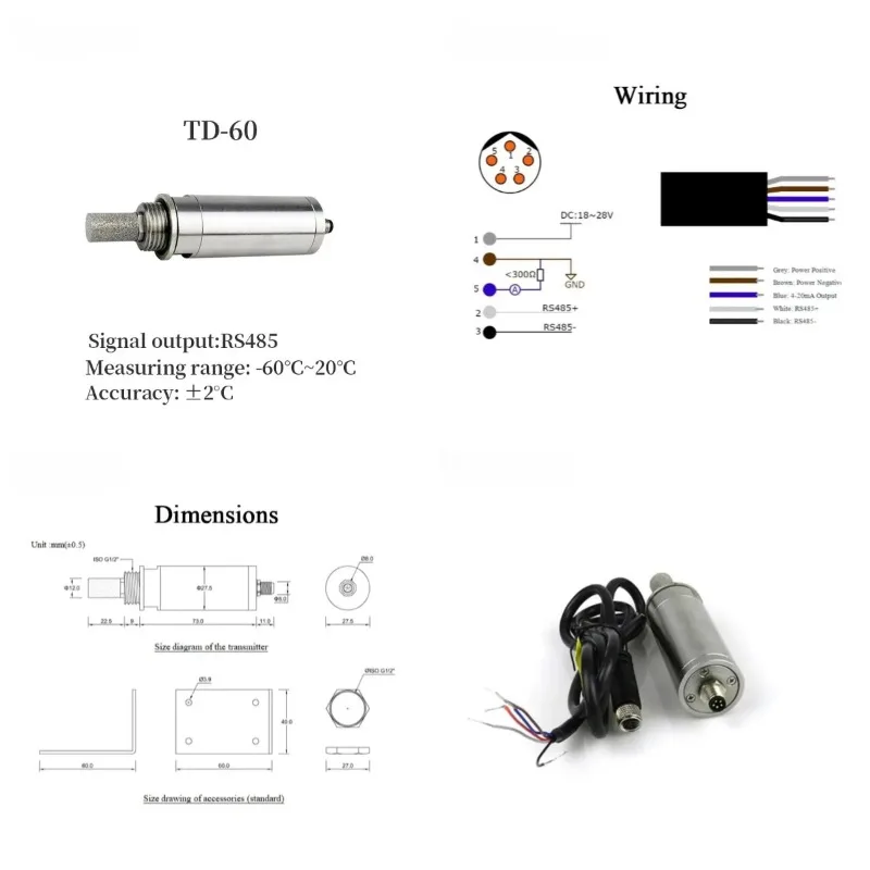 2026 TD-60-RS485 High-Precision High Accuracy Dew Point Temperature Sensor Thermo-Hygrometer RS485 Transmitter IP65 Data