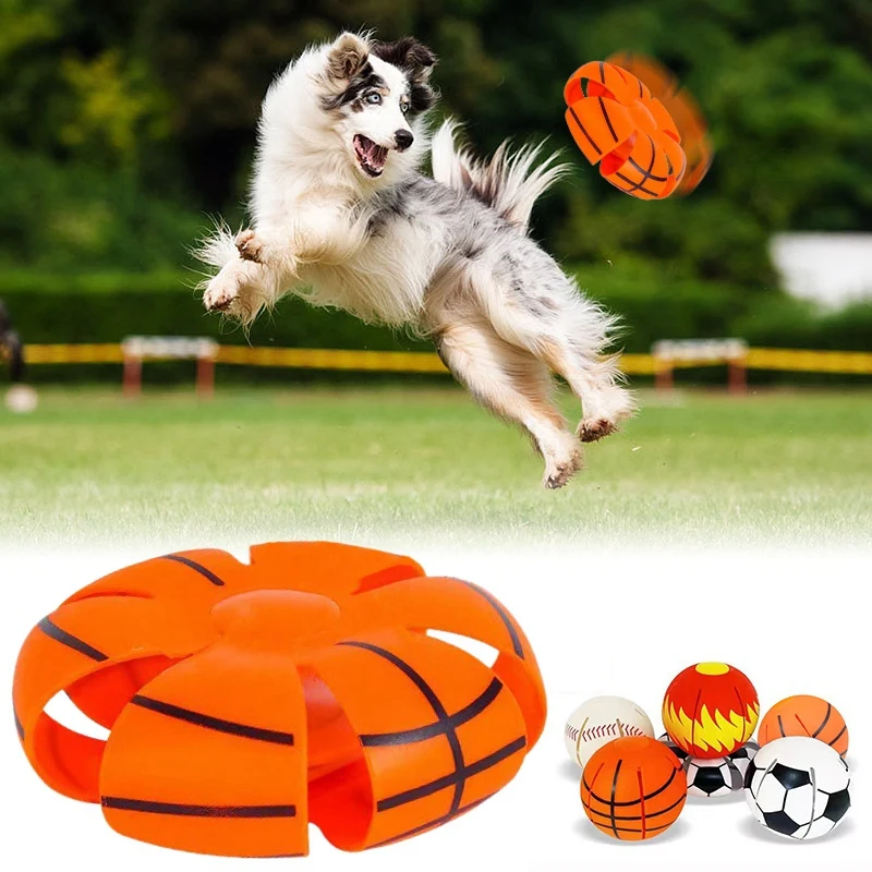 Dog Toy, Flying Saucer Ball Pet, Magic Deformation UFO Outdoor Training Interactive Throwing Play DISC