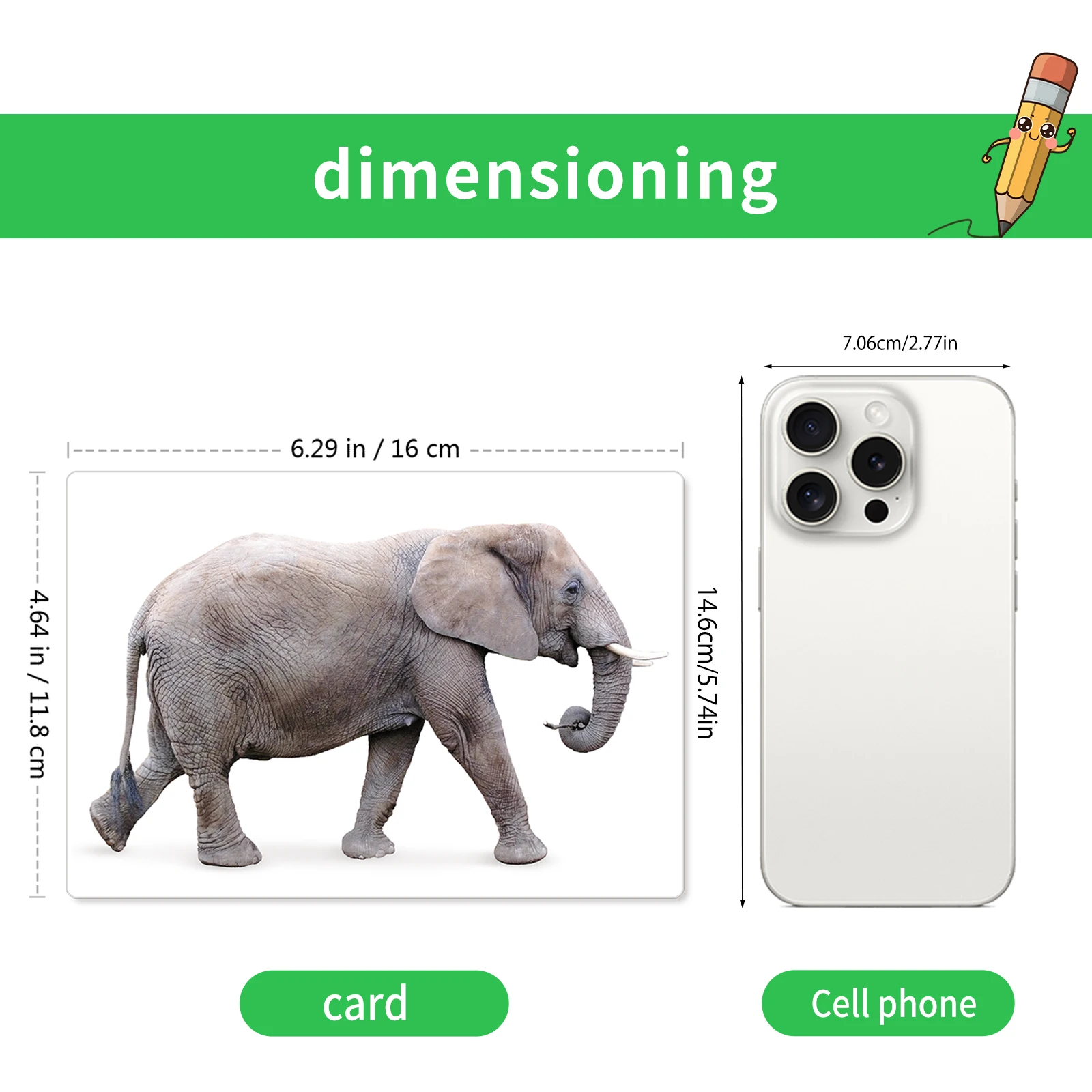 English Kids' Cognitive Animal Cards: Farm, Birds, Fish, Insects, Wild Animals, Ages 2-5, Colorful, Names on Back, Educational