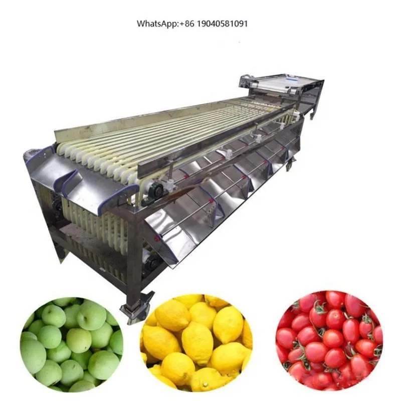 Electric Automatic Stainless Steel Fruit Seed Olive Longan Coffee Cherry Sorter Food Grading Machine Three Stones for Hotels