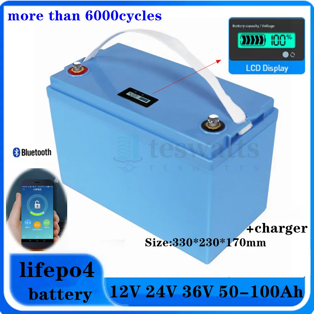 12V 100AH 120Ah 150Ah 24V 36V 40Ah 50AH 60Ah 80Ah lifepo4 lithium battery deep cycle batteries bluetooth BMS with charger