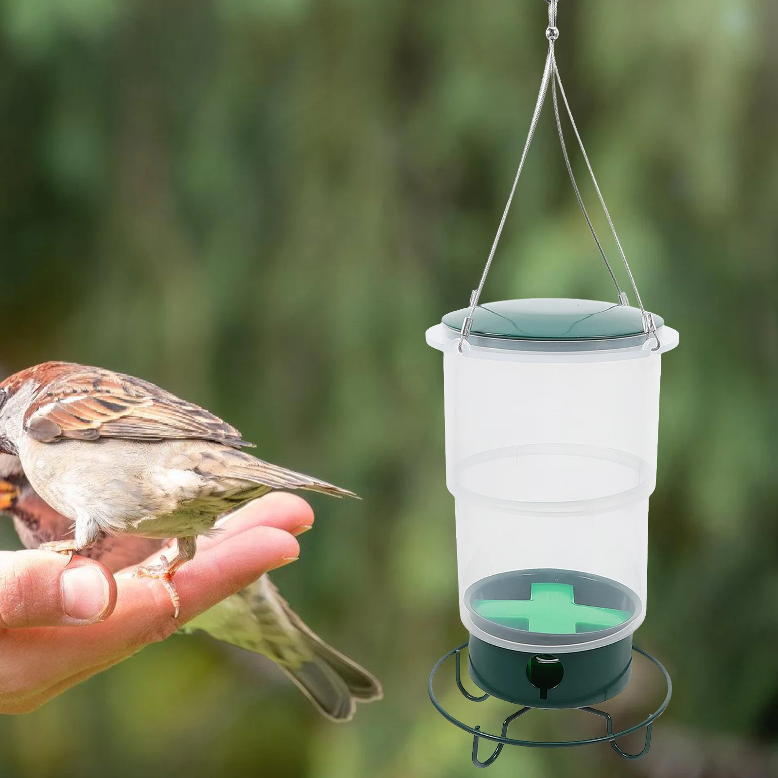 

Hummingbird Feeder Outdoor Weather Resistant Hanging Bird Feeding Water Container For Small Birds Wild Bird