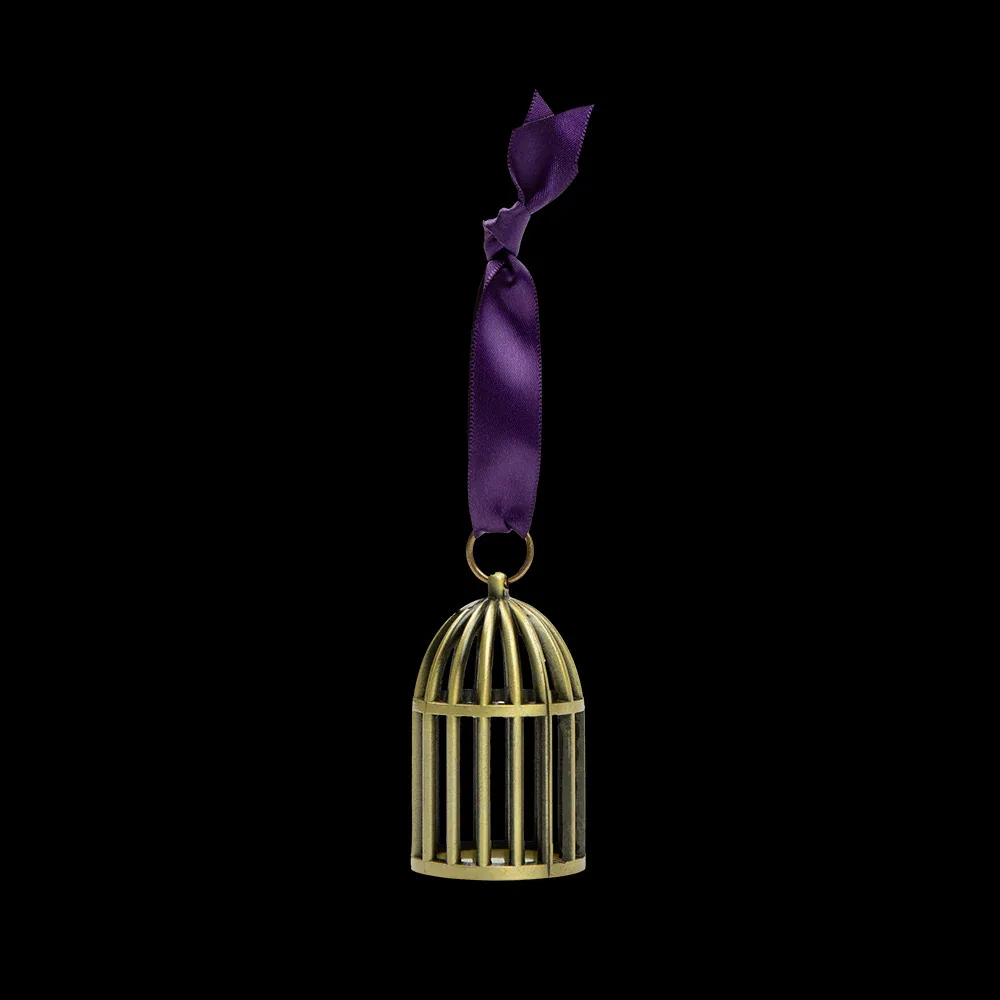 Speak Now Taylor’s Version Bird Cage Ornament Satins Stainless Steel Small Pendant Christmas Gift