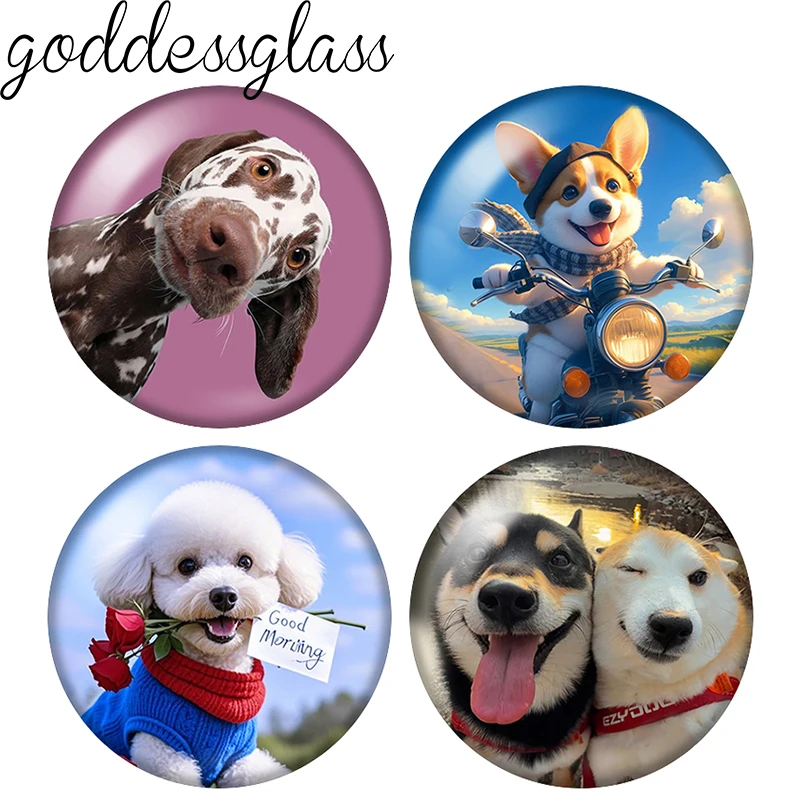 Cute Dog Sunny meme photo Fashion Face 10pcs 12mm/18mm/20mm/25mm Round photo glass cabochon flat back Making findings Jewelry