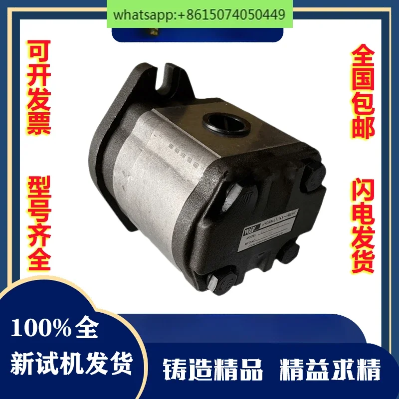 WINMOST Fengchang gear pump EG-PA-F6R F8R F9R F11R 4R 3R 2R 1R 5R 6R 7R