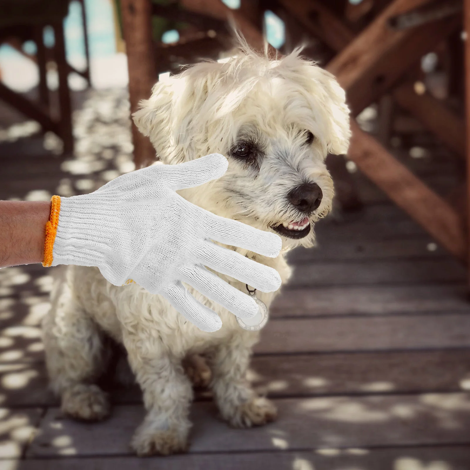Environmentally Friendly Gloves Protection Small Pet Handling Anti-scratch Bite