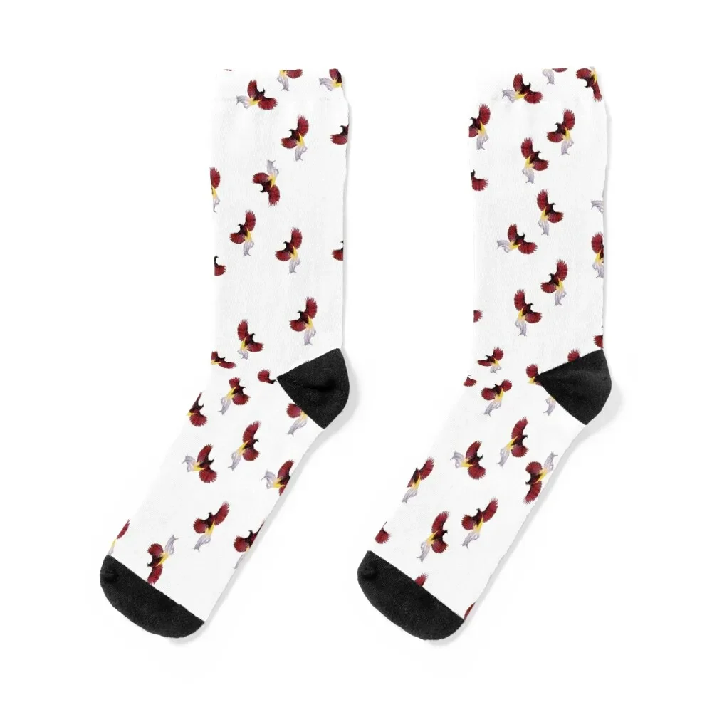 Papua New Guinea Special Red Bird of Paradise Designs and Prints Socks New year's Wholesale designer brand Socks Women's Men's