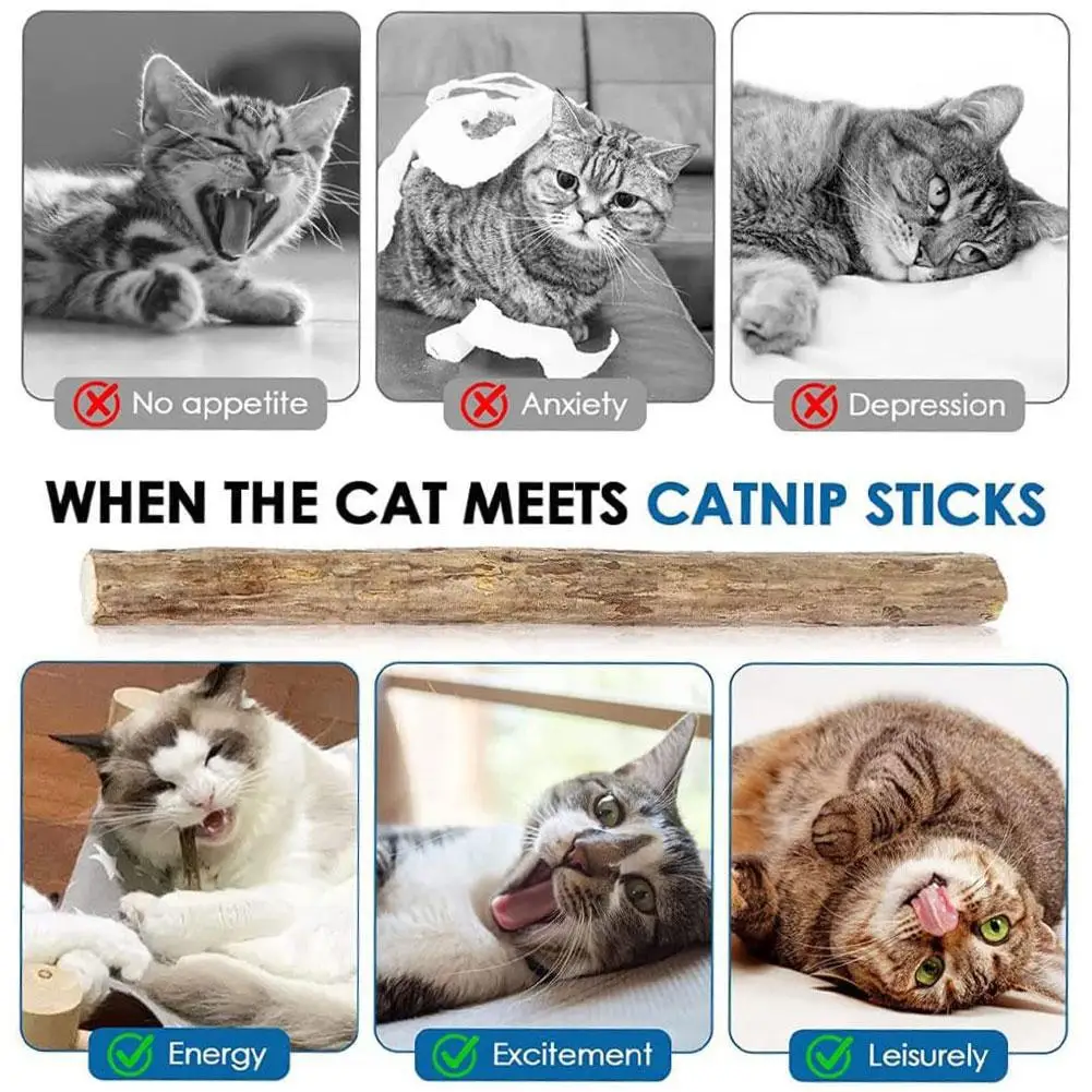 Cat Catnip Sticks Natural Matatabi Silvervine Sticks per la pulizia dei denti Self Healing Cat Snack Stick Kitten Chew Toys