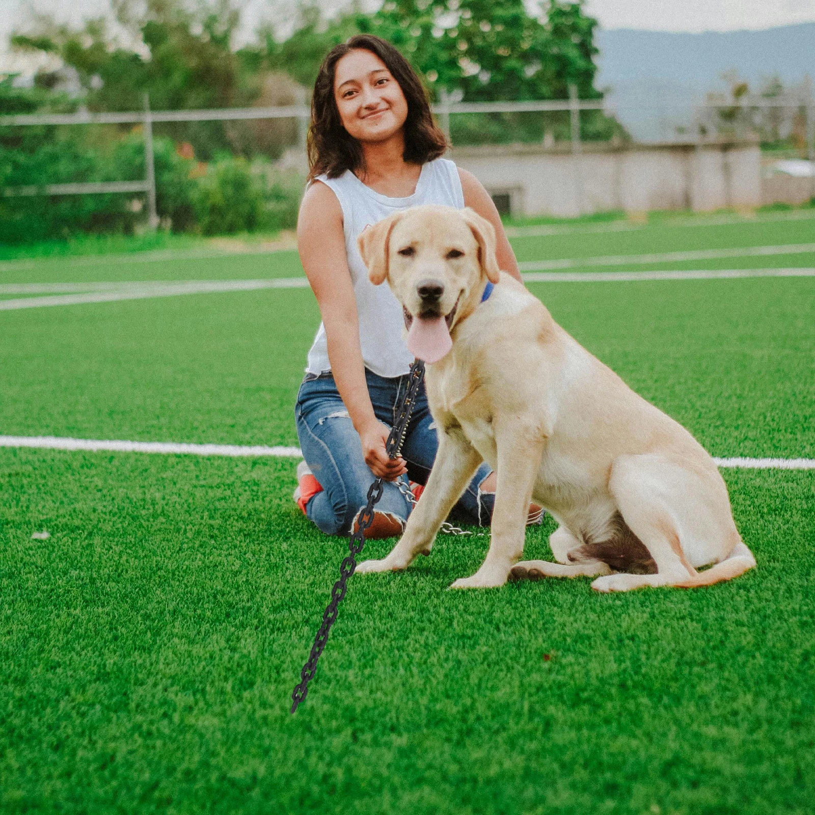 

Simulated Iron Chain Decoration Chains for Pet Decorative Dog Leash Cable Tie Out Pvc Cosplay Prop Collar