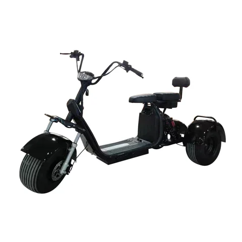 

Top Selling Stylish Three Wheel Electric Scooters Citycoco Electric Moped 2000W With 20mph Range