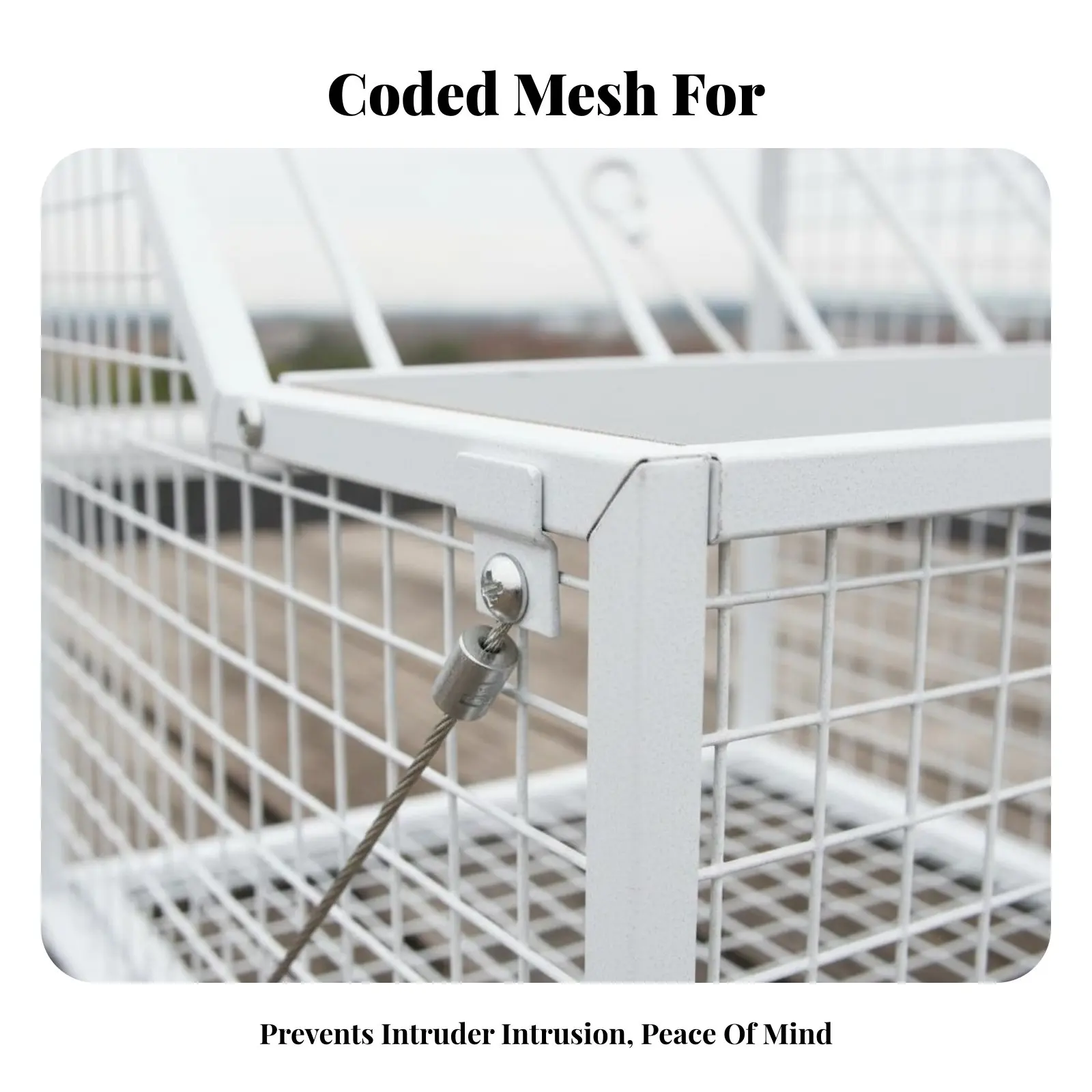 

Pigeon Entry Door Long-Lasting Racing Pigeon Entrance Entry Iron Bar Avian Entrance Easy to Install Fine Workmanship