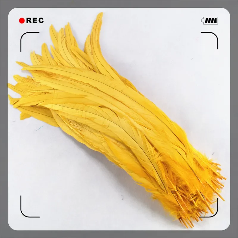 50 Stück farbige Hahnenfeder, 35–40 cm (14–16 Zoll), Hahnenfedern für Bastelarbeiten, Hochzeitsdekoration, Kleidungszubehör, DIY – Detail 1