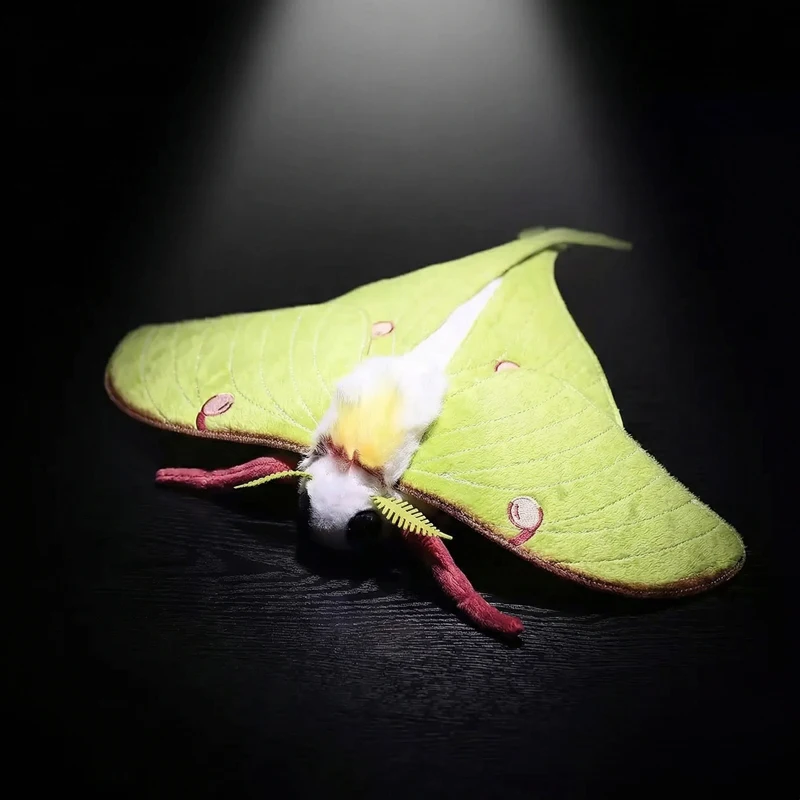 Luna Moth Plüschtiere, exquisites Moth-Plüschtier, realistische simulierte Insektenpuppen, Simulationsinsekten, Geburtstagsgeschenk für Jungen und Mädchen