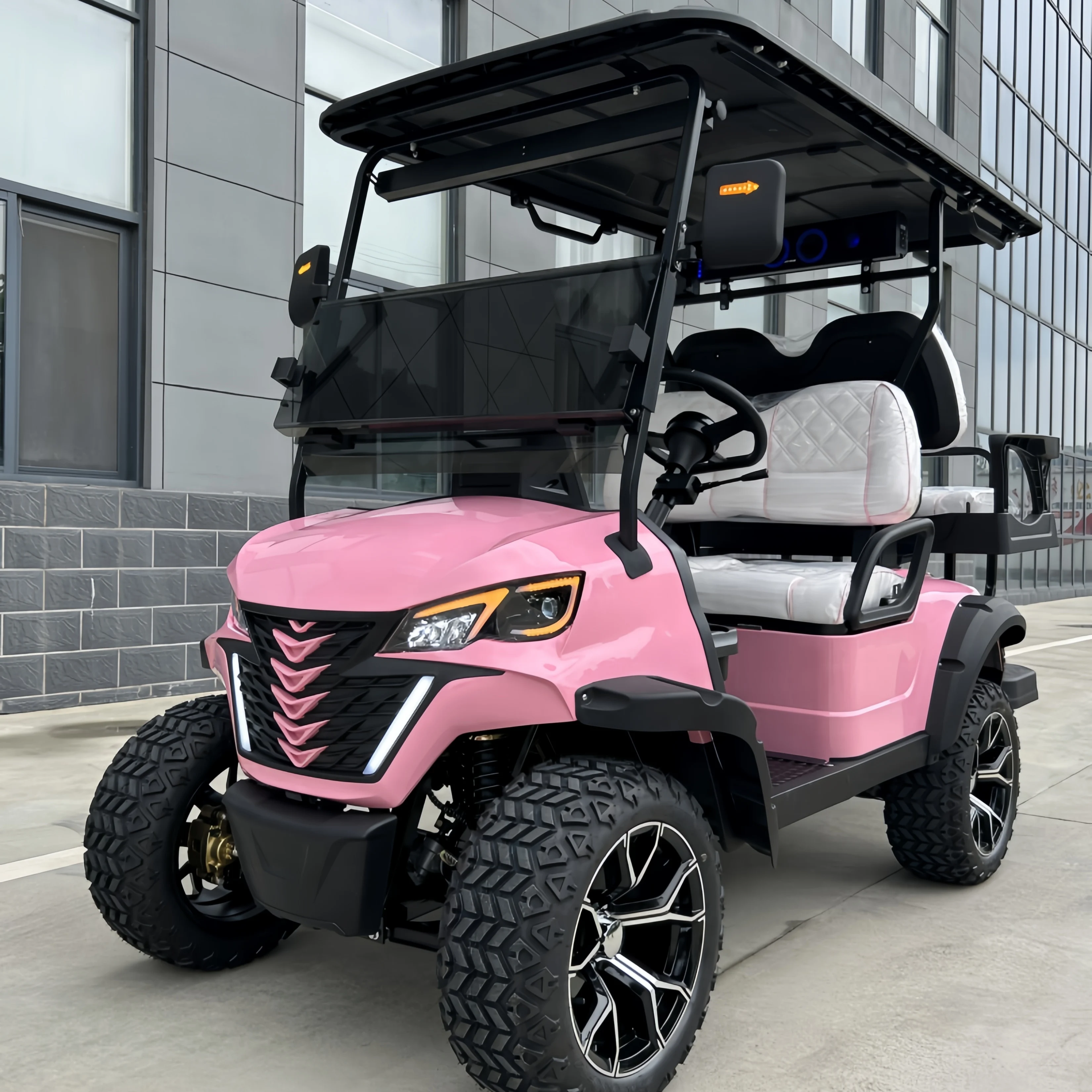 OEM Service Accepted Customized 2 Seater Golf Carts Electric Lithium Battery Golf Cart For Sale