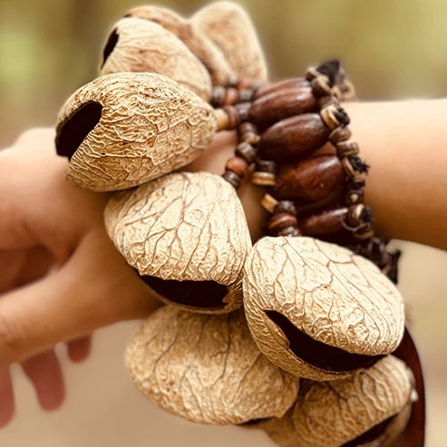 Pulsera de concha de fruta Natural, sonajero de tambor africano, acompañamiento de percusión, instrumentos musicales de percusión, adornos, campanas de mano