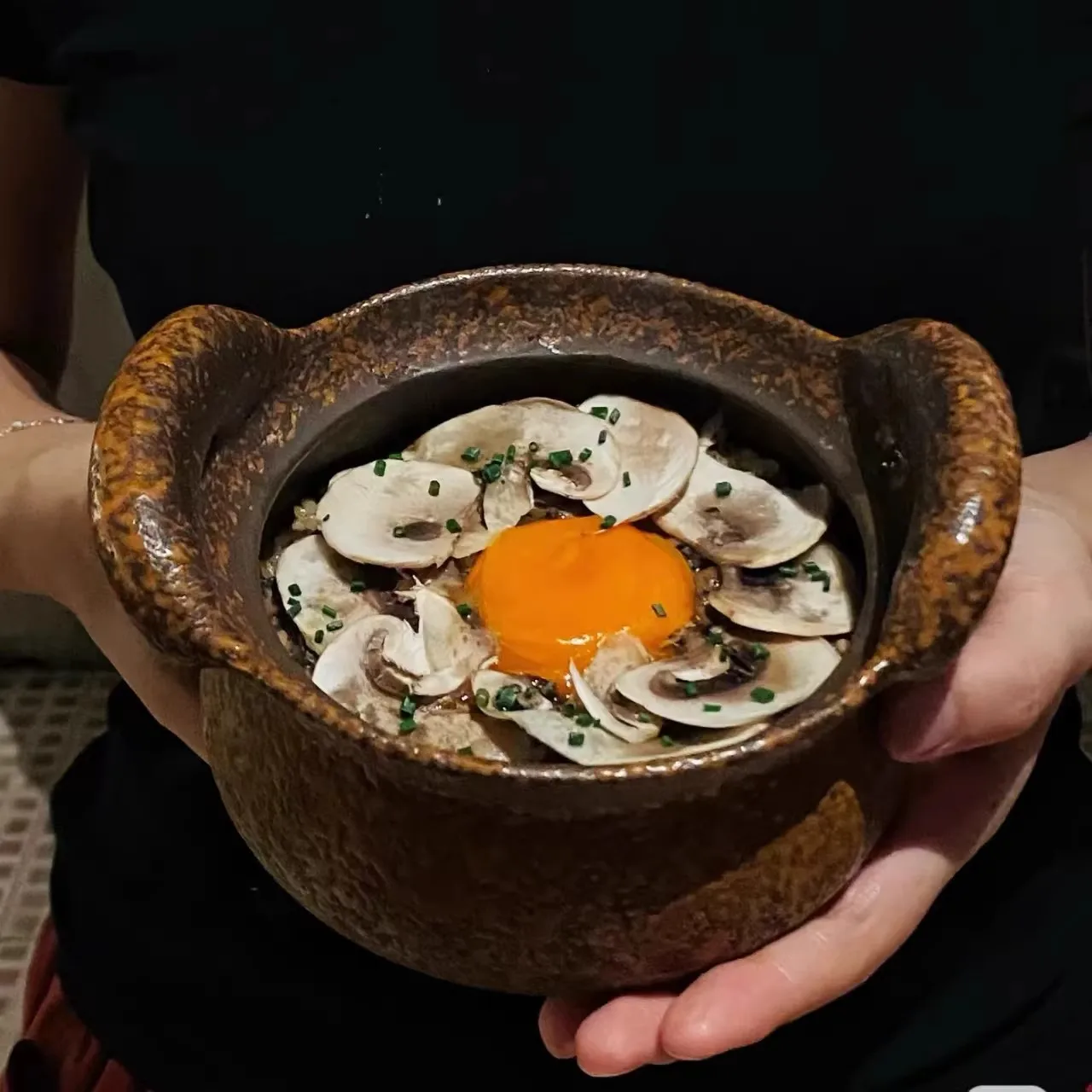 Yanye wind coarse pottery binaural casserole with lid casserole boletus fried rice tableware characteristic ceramic vegetable
