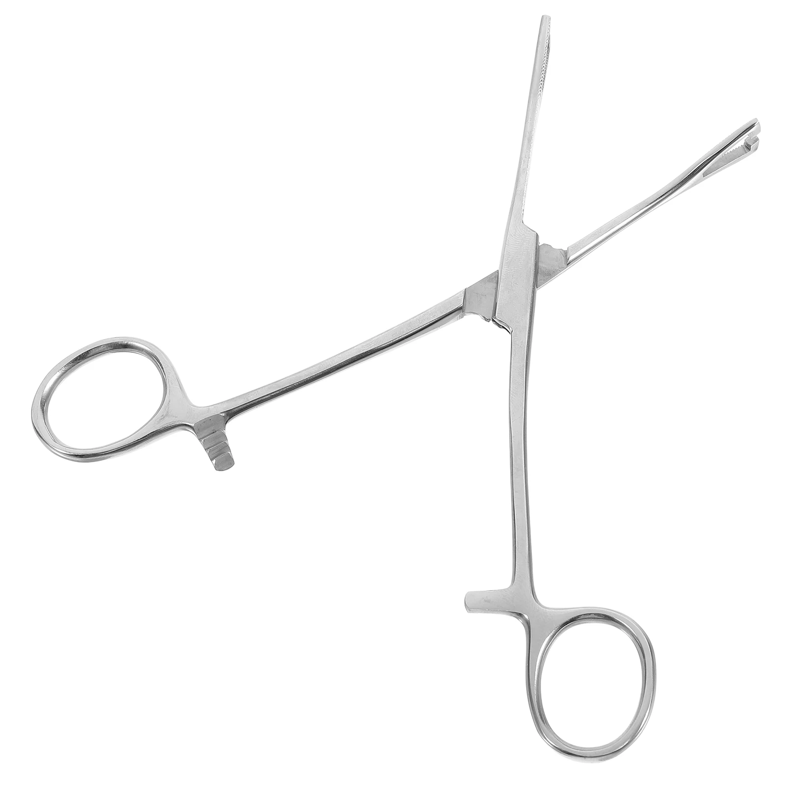 

Stainless Steel Feeding Tongs Long Handle Durable Ergonomic Clamp Snake Lizard Reptile Supplies Tool Snake Feeding Tongs