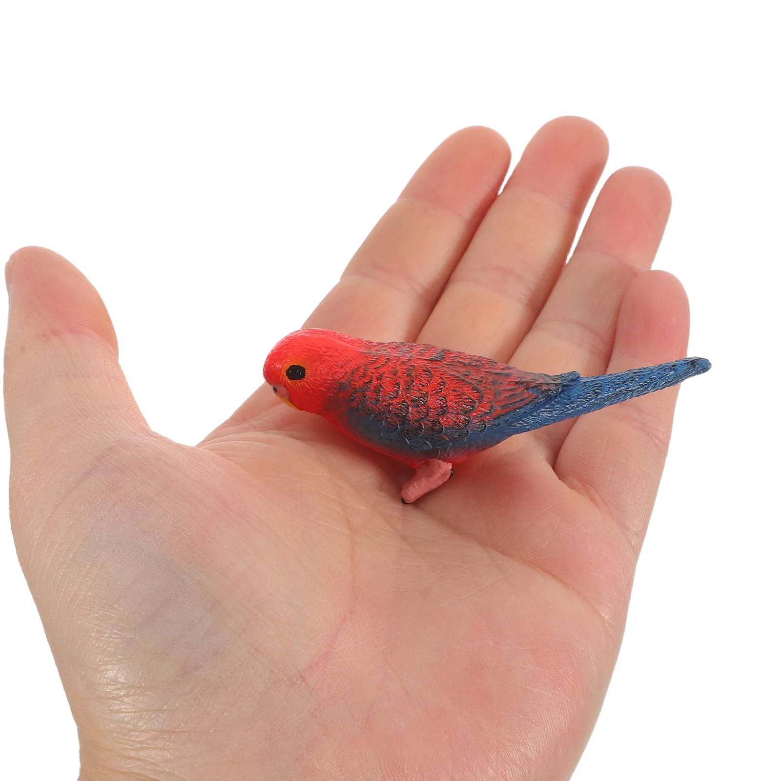 

6Pcs Realistic Artificial Parrots Vibrant Lifelike Bird Decor for Kids Room Bookshelf Study Desk Party Favors Education Learning