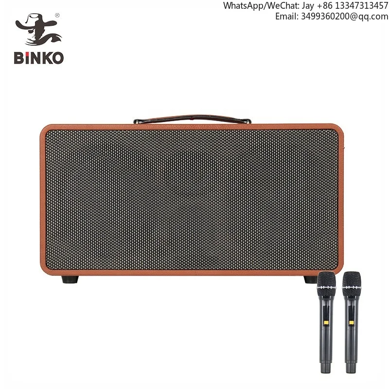 

Binko Oem Outdoor Electric Guitar Amplifier Wooden Blue Tooth Amp Speaker Bass High Quality Loud Musical Instrument Speakers