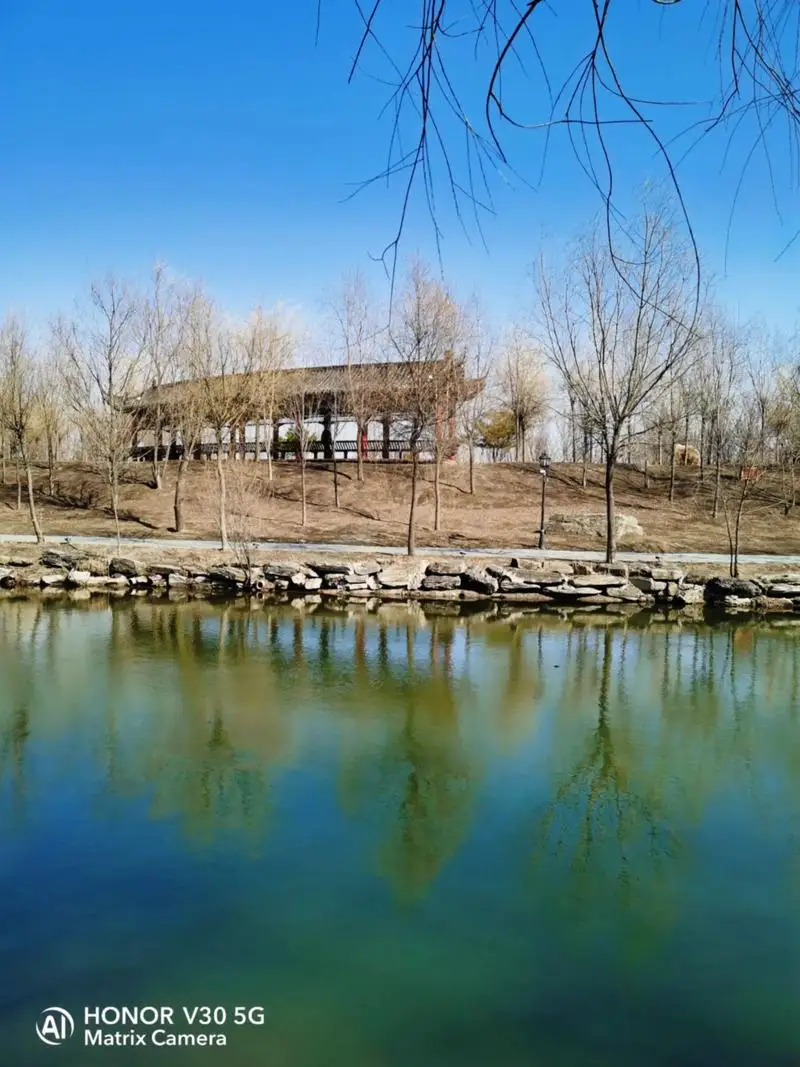 

Julep Bar Cocktail Strainer 304 Stainless Steel Copper Plated Gold Plated Black Bar Tool Barware