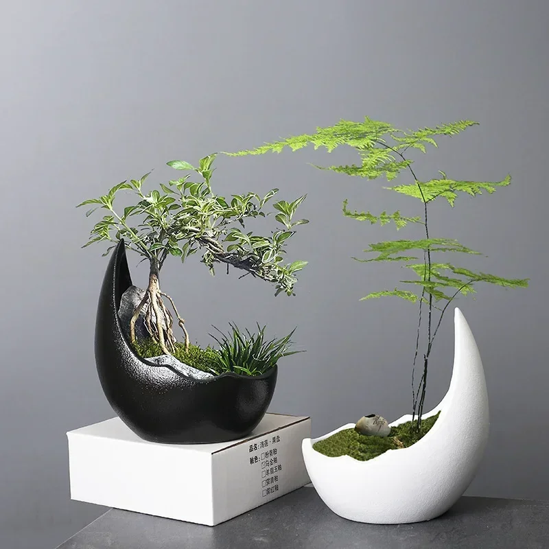 Rhinoceros Horn Shape Ceramic Flower Pot Green Plant Pot Succulent Planter Cactus Bonsai Pot Flower