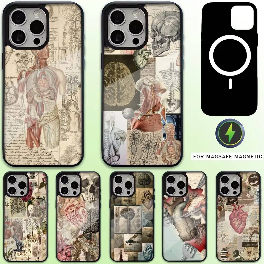 

Medical Human Anatomy Phone Case For iPhone17,16,15,14,13,12,11 Plus,Pro Max Magnetic For Magsafe Wireless Charging