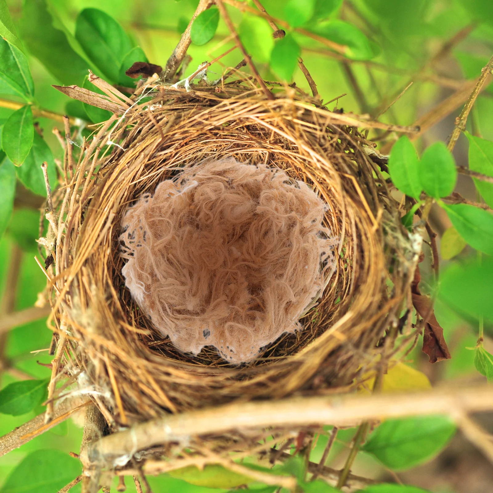 1 Box Natural Bird Nesting Material 40G Mixed Jute Fibers Diy Bird Pads For Canary Hummingbird Finch Parakeet