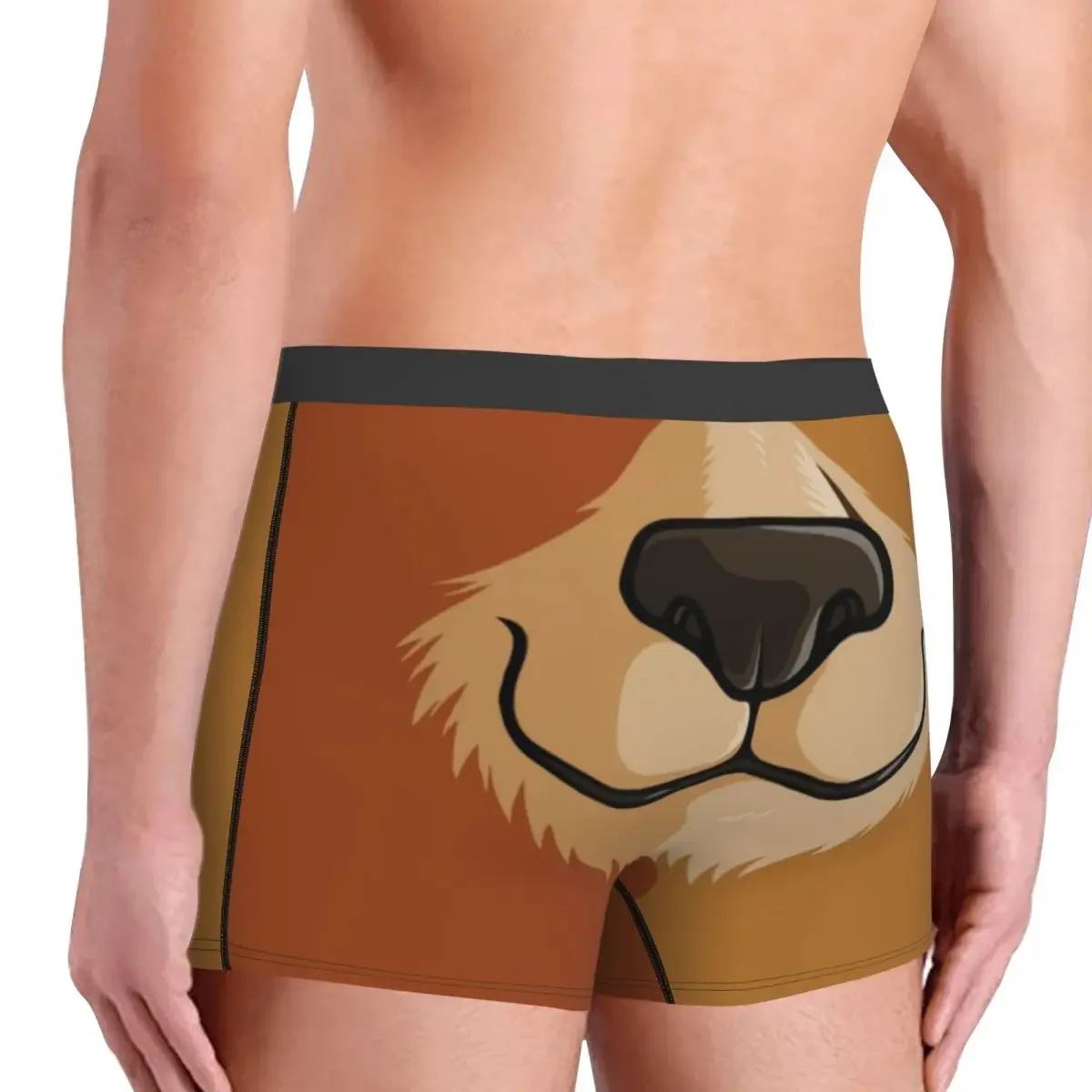 Likes To Woof Gay Pride Boxer Shorts For Homme 3D Printed Sexy Bear Underwear Panties Briefs Soft Underpants