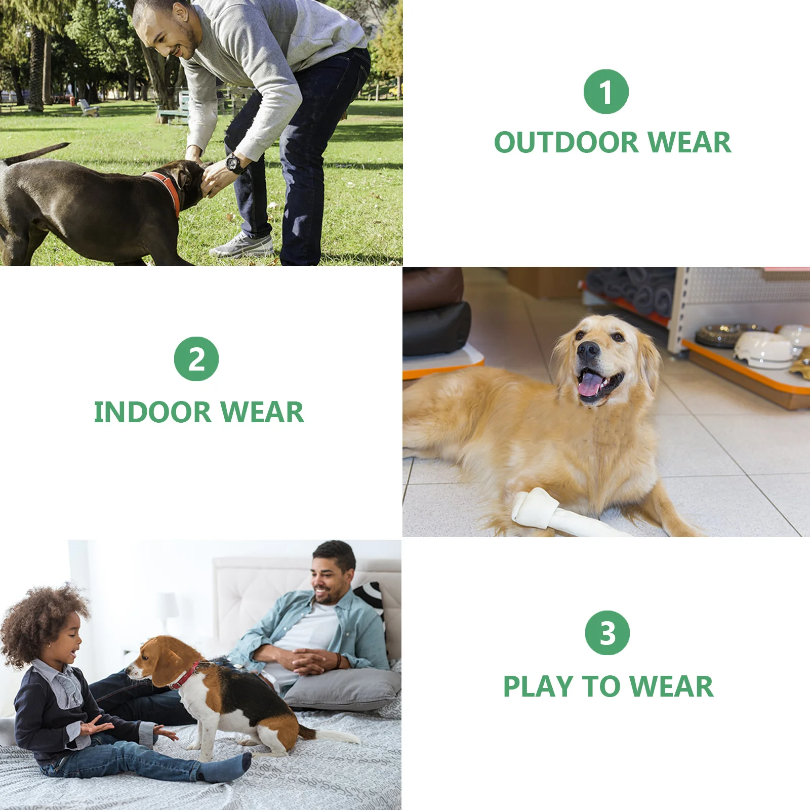 

Pet Party Hat Green Adjustable For Cat Dog St Patricks Day Halloween Christmas Costume Photo Prop Pet Dress Up Accessory