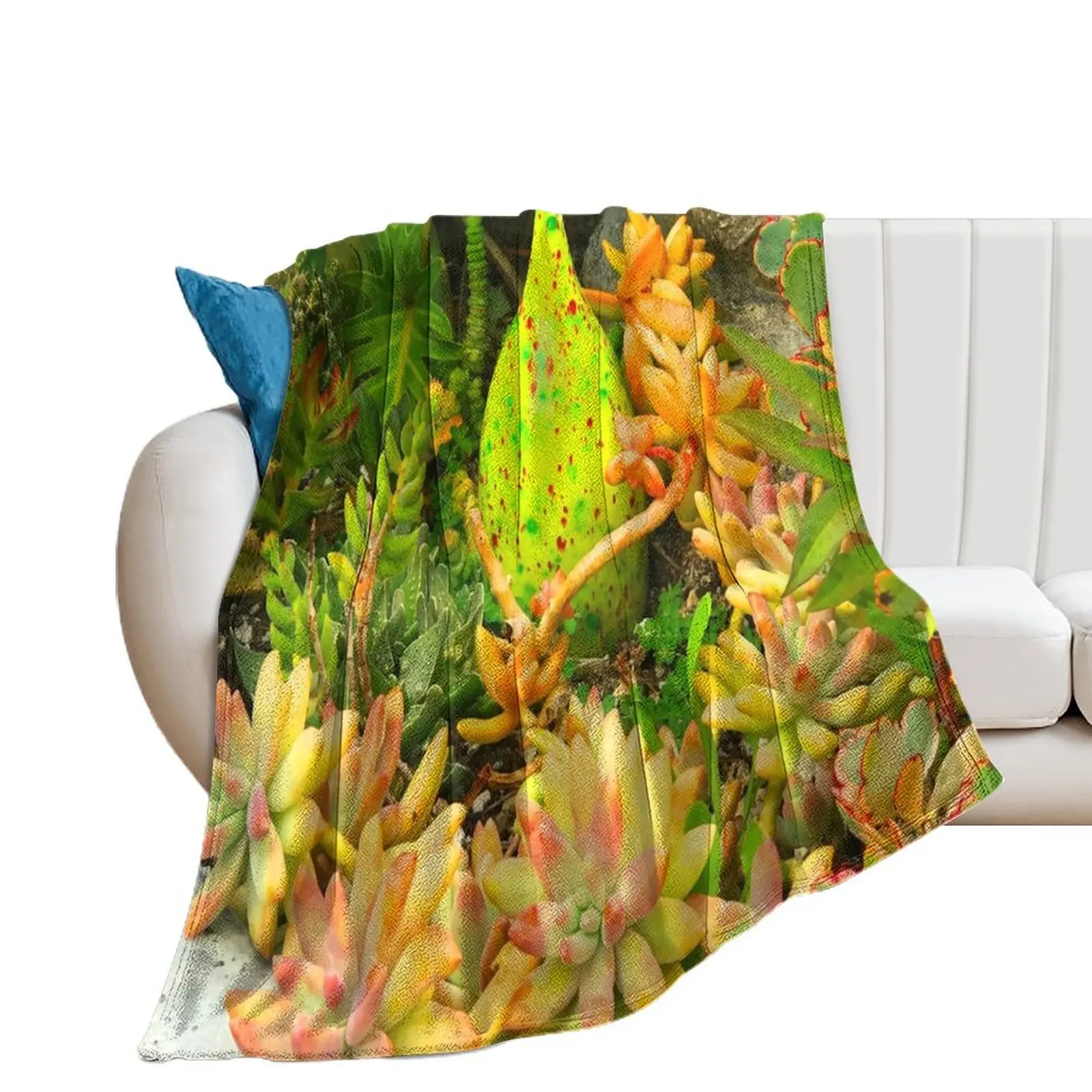 

Contemporary, Colorful Succulents in Vintage Clay Pot Art Photo Throw Blanket Decorative Throw Quilt Summer Shaggy Blankets