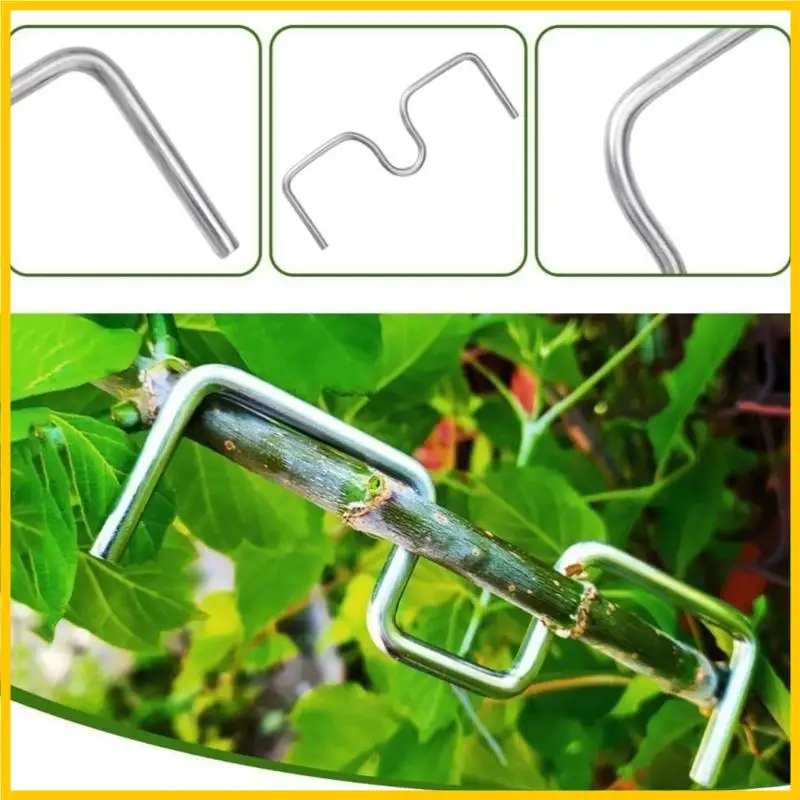 

H55A 30pcs Adjustable Tree Branch Spreaders For Home And Professional Gardening Use