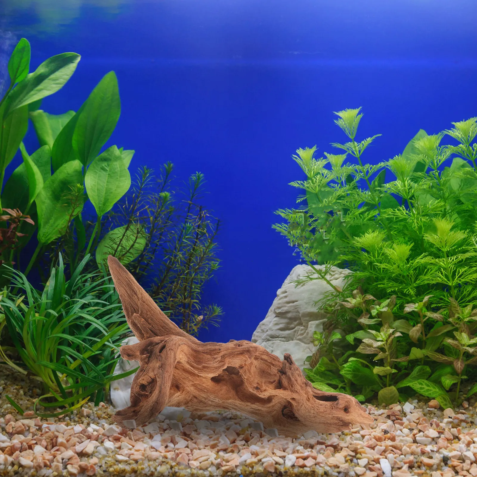 Décoration de bois mort pour a - Aquarium Fish Unique avis et prix