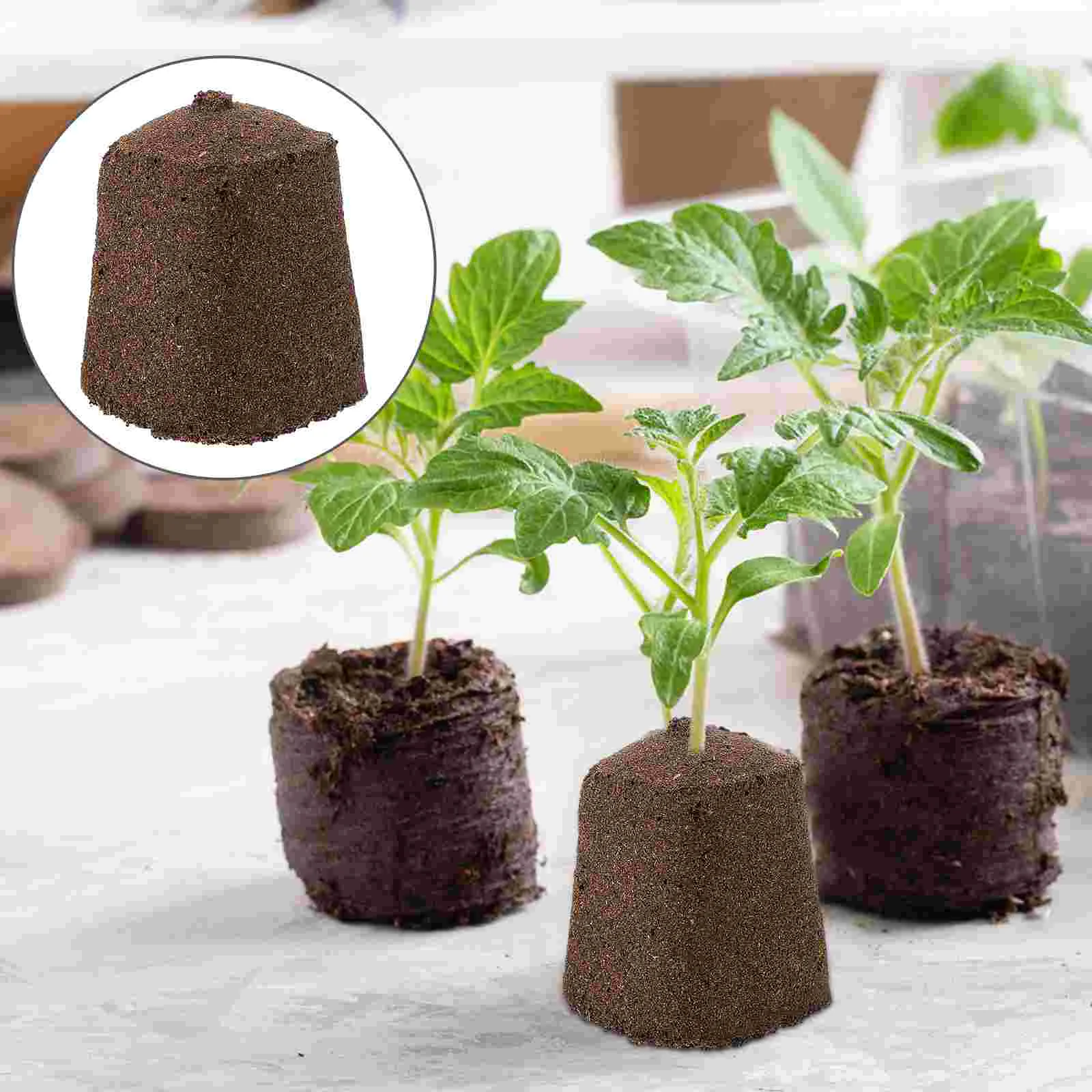 10 Pcs Soil Pellets Starting Seedling Block Soilless Cultivation Flowers Peat Matrix Plant