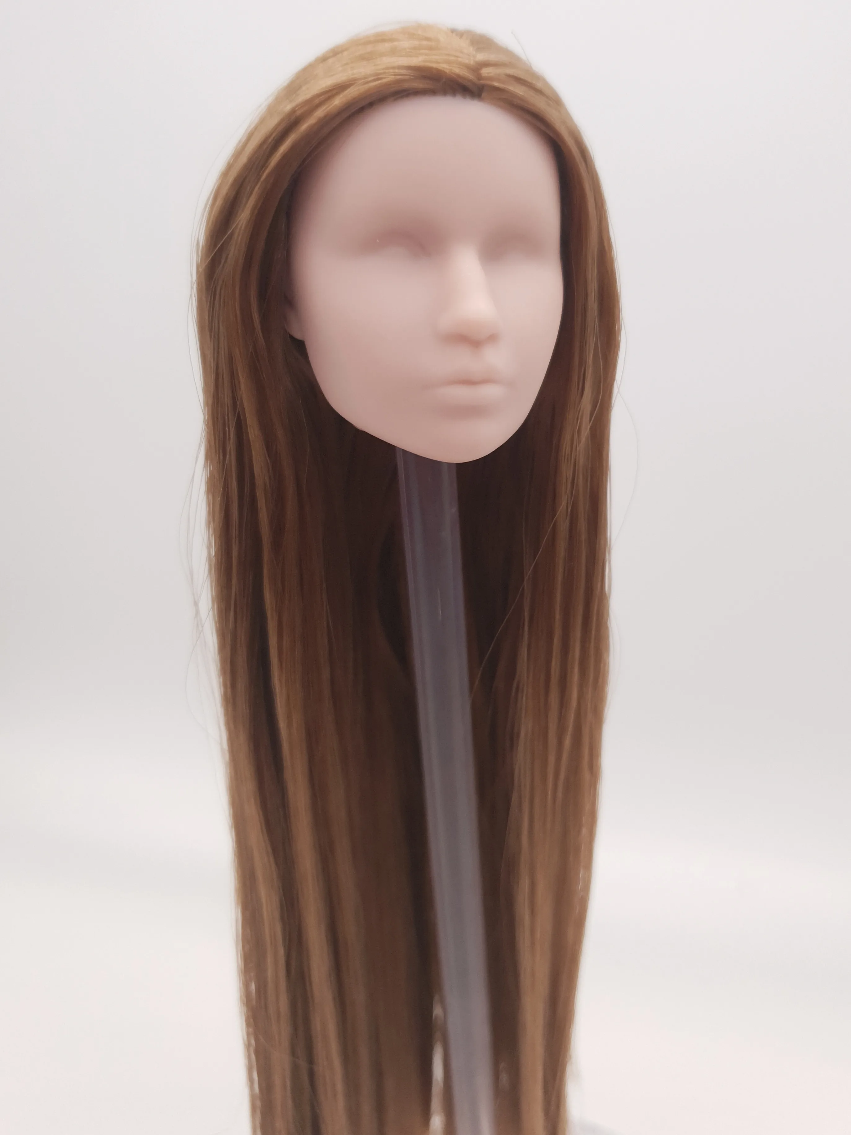 

Fashion Royalty 1:6 Scale American Horror Story Zoe Benson Blank Face Brown Hair Rerooted Integrity Doll Head