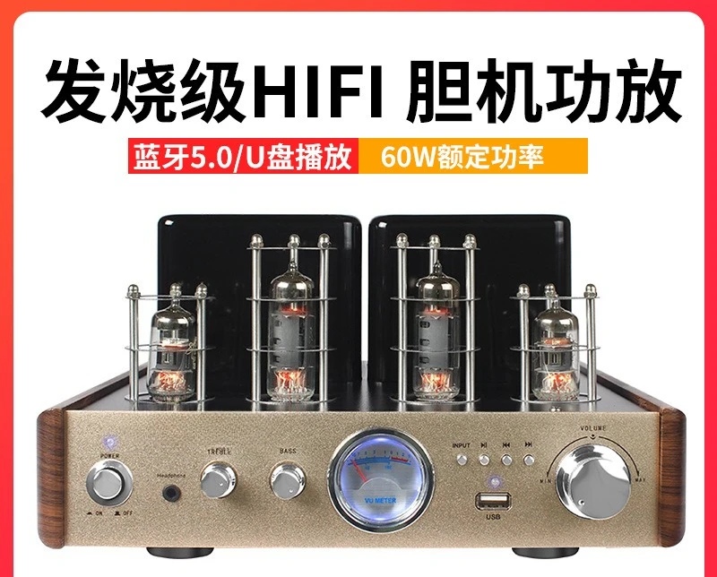2030 Vacuum Tube Bile Power Amplifier Stereo High Power Bluetooth