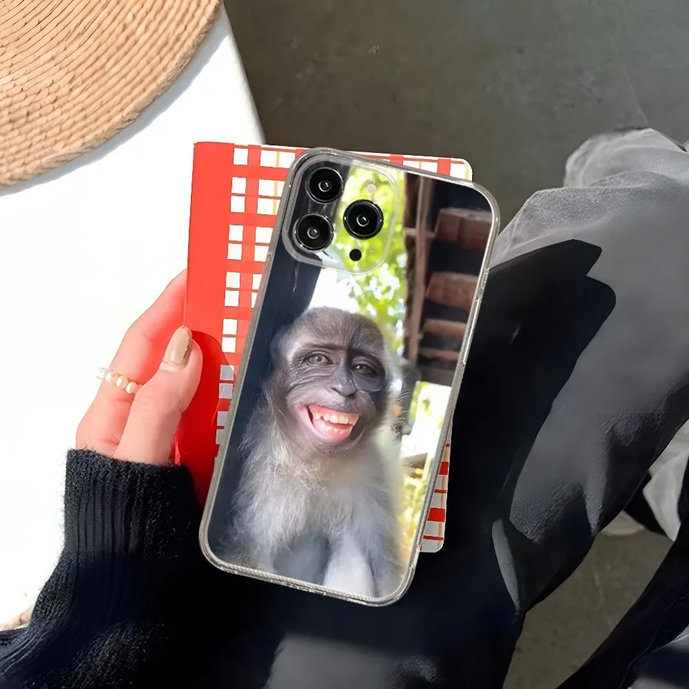 Monkey Sipping Caprisun Meme Phone Case for iphone 15 14 13 12 Pro Mini 11 Max Xr X Xs 7 8 Plus Transparent silicone